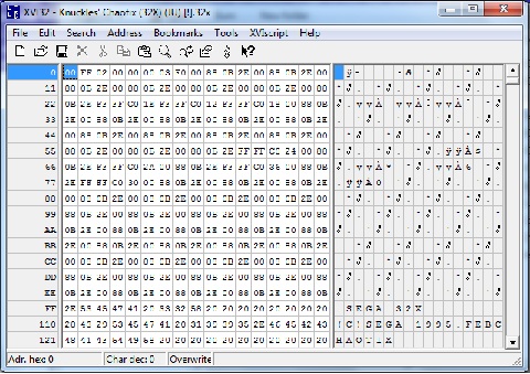 Example of a hex editor (XVI32)